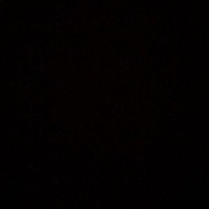 Meet your Posher, Anni